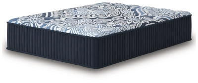 Five Star Furniture - Firm Luxe 2.0 Mattress - Five Star Furniture & Mattress (GA)