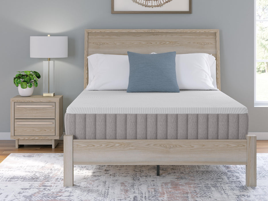 Five Star Furniture - Terra Sleep Firm Mattress