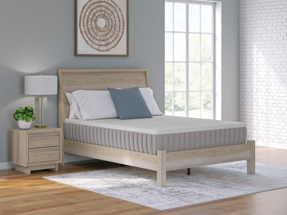 Five Star Furniture - Terra Sleep Firm Mattress