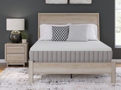 Five Star Furniture - Terra Sleep Medium Mattress
