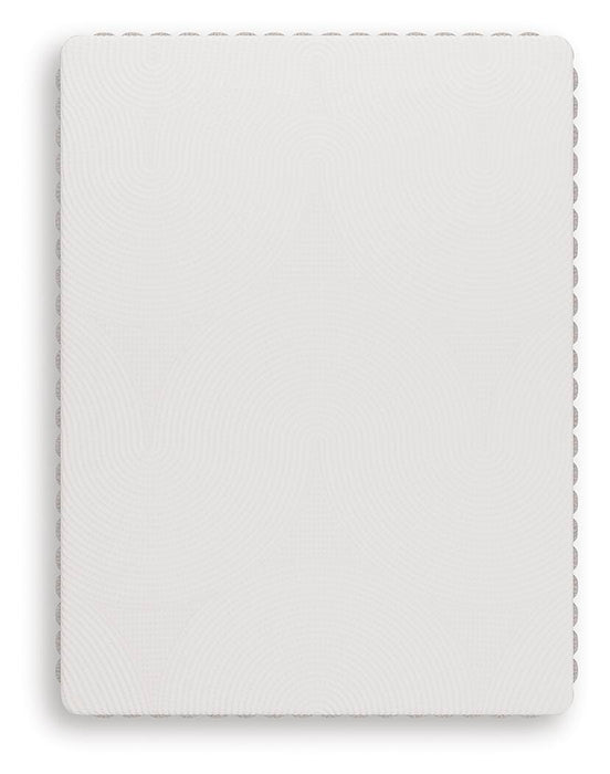 Five Star Furniture - Terra Sleep Medium Mattress