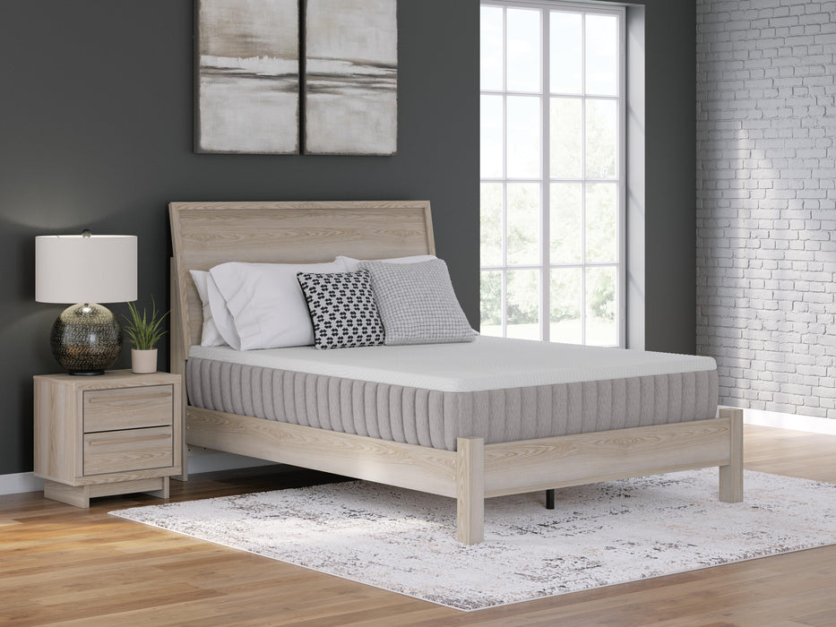 Five Star Furniture - Terra Sleep Medium Mattress