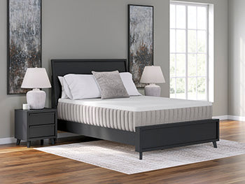 Five Star Furniture - Terra Sleep Soft Mattress