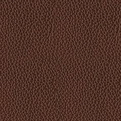 Five Star Furniture - Next Move Power Reclining Sofa