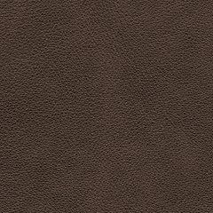 Five Star Furniture - Crossplex Power Reclining Loveseat with Console - Five Star Furniture & Mattress (GA)