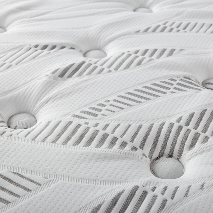 Five Star Furniture - Hayes Medium Plush Pillow Top Hybrid Mattress