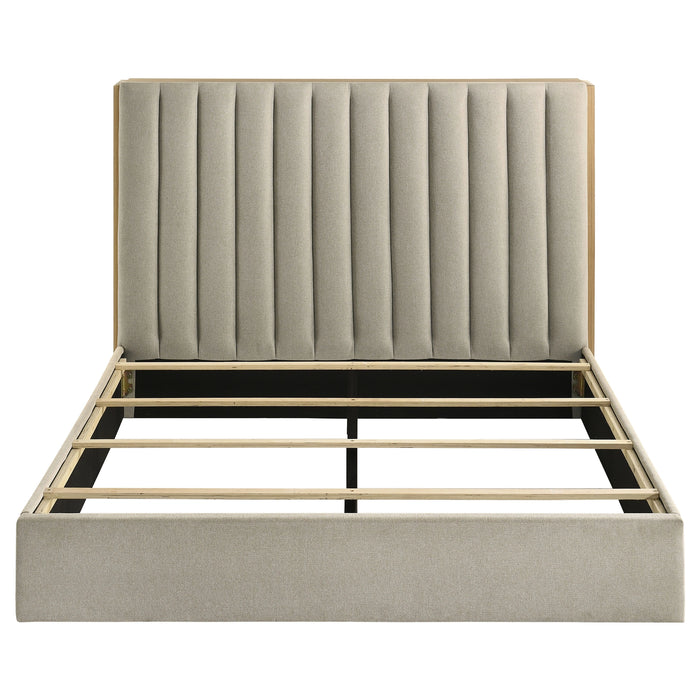 Five Star Furniture - Arielle Bookcase Bed