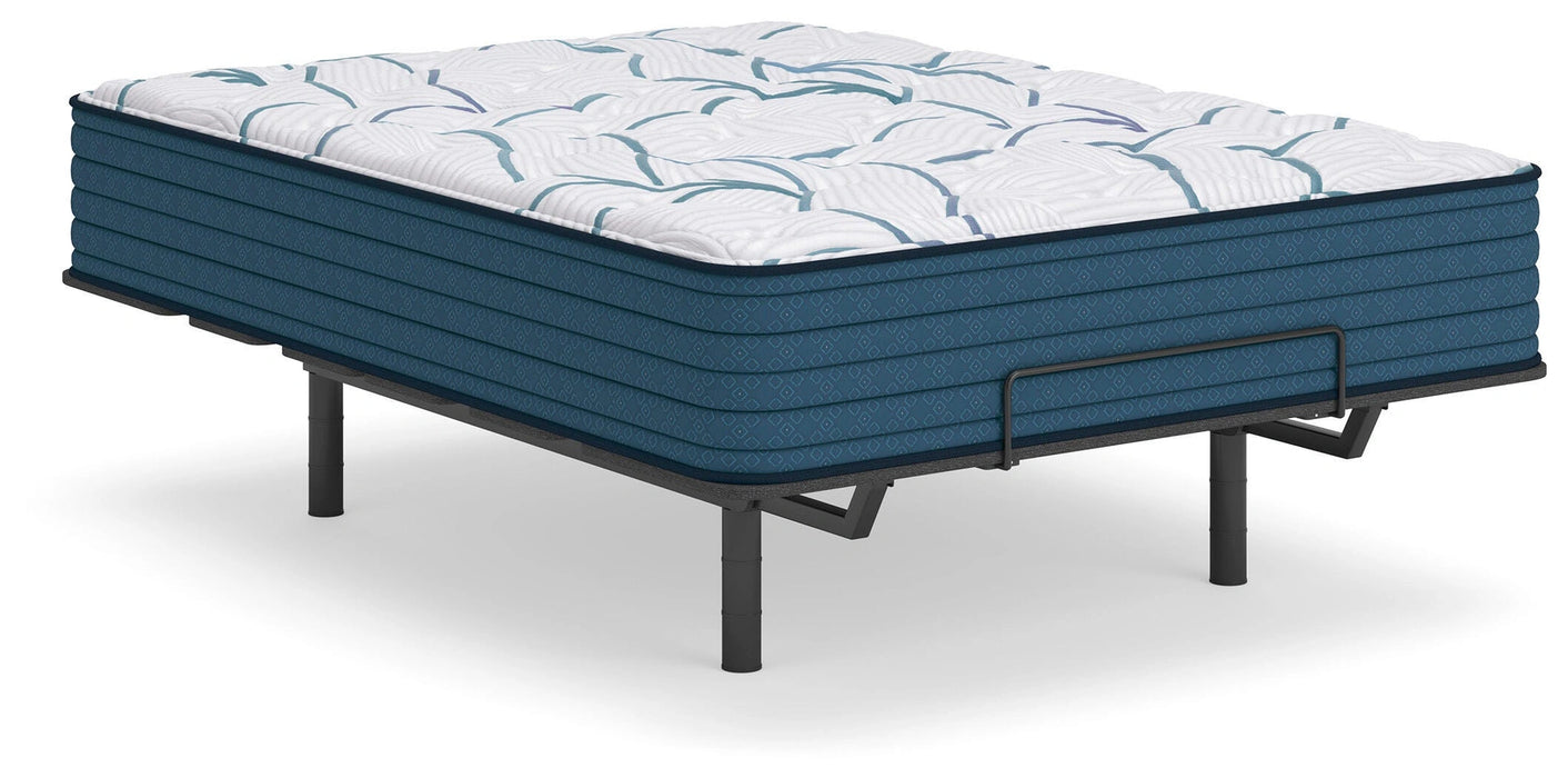 Five Star Furniture - Limited Edition Plush 3.0 Mattress