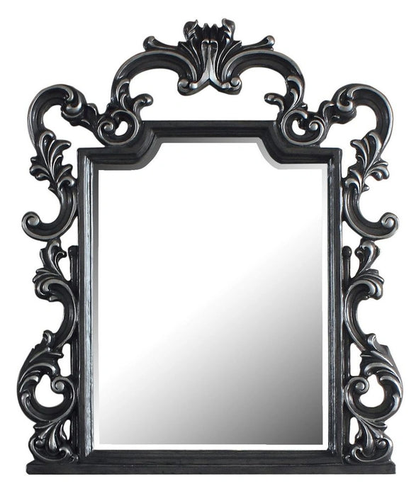 Five Star Furniture - Acme Furniture House Delphine Mirror in Charcoal 28834