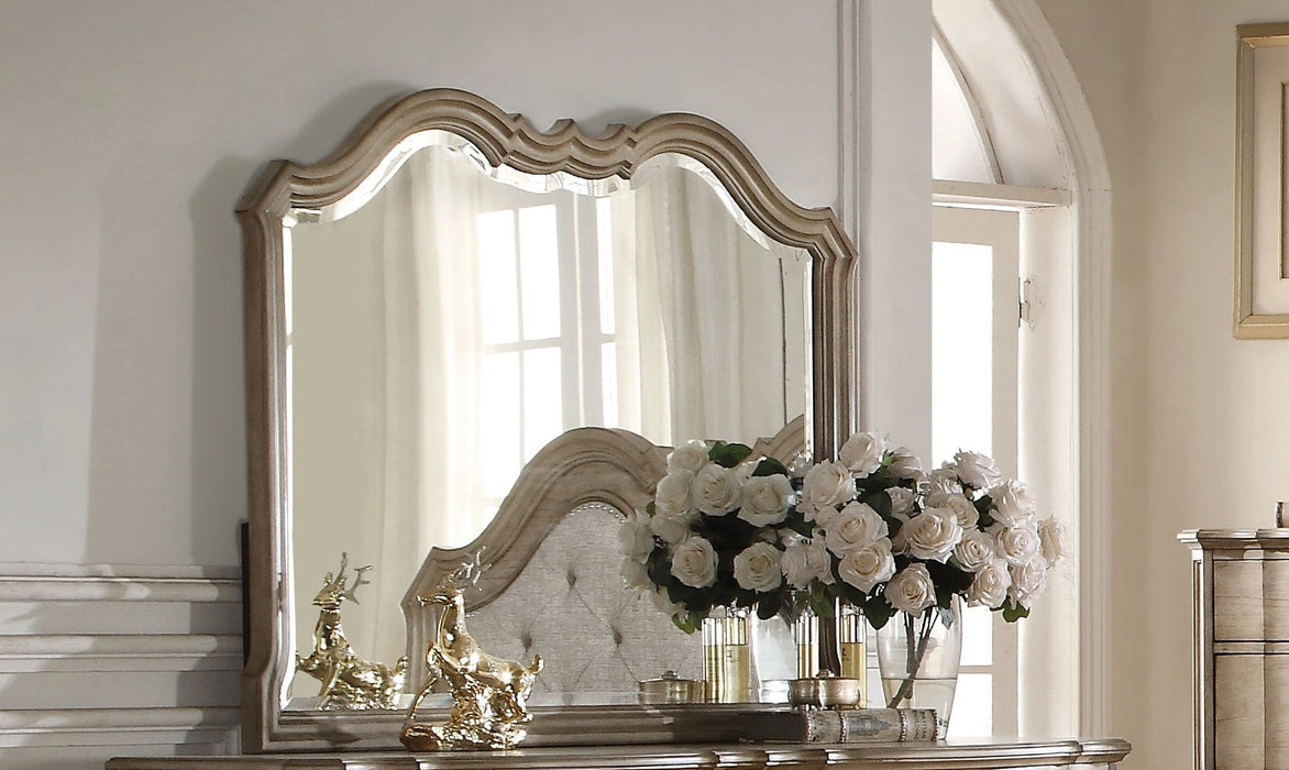 Five Star Furniture - Acme Chelmsford Landscape Mirror in Antique Taupe 26054