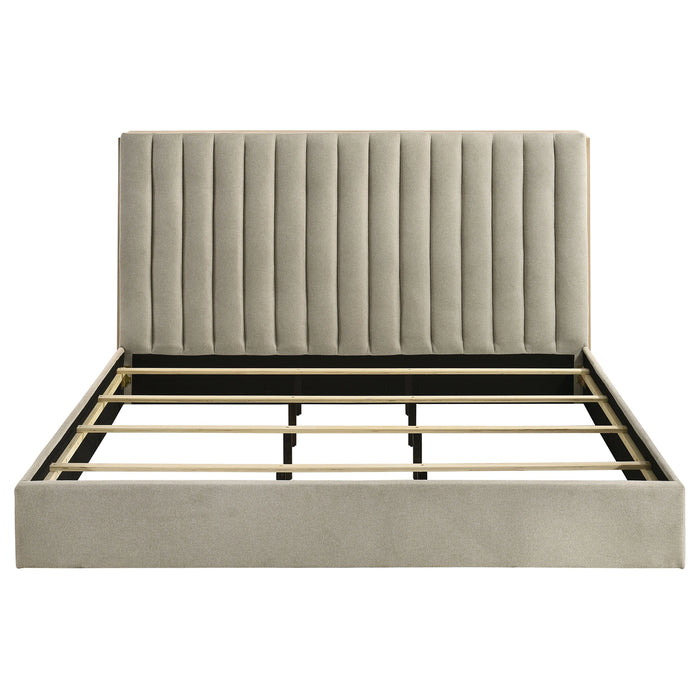 Five Star Furniture - Arielle Bookcase Bed