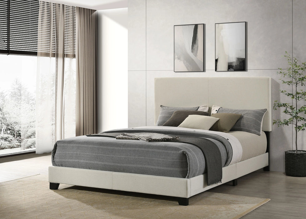 Five Star Furniture - Dorian Panel Bed